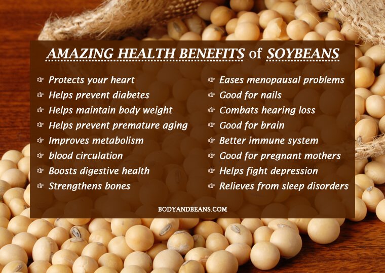 soybeans Archives BodyandBeans